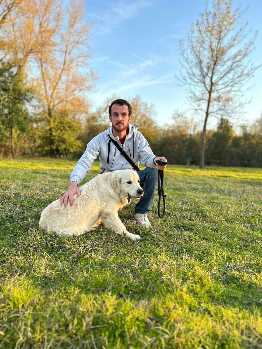 Profil von Patrix